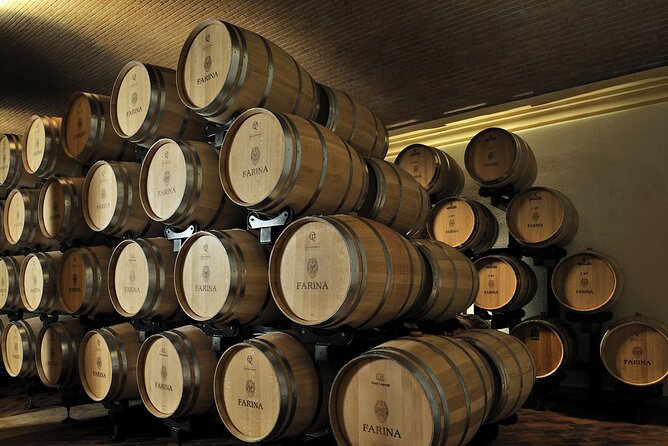 Vineyard Tour With Light Lunch in Valpolicella - Tour Details