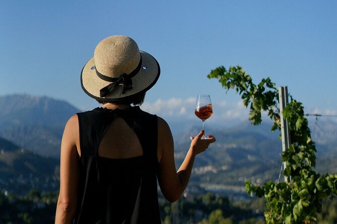 Vineyard Tour With Wine Tasting Within Nice City Borders - Traveler Photos