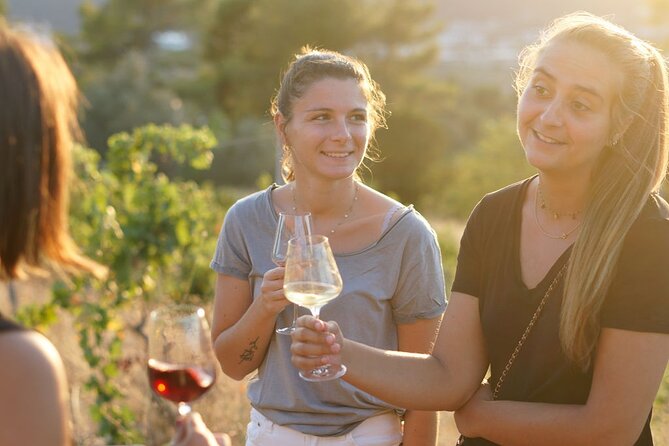 Vineyard Tour With Wine Tasting Within Nice City Borders - Reviews