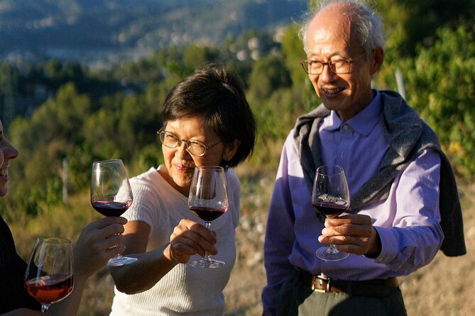 Vineyard Tour With Wine Tasting Within Nice City Borders - Additional Information