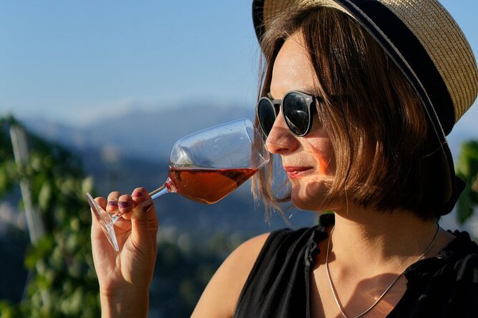 Vineyard Tour With Wine Tasting Within Nice City Borders - Tips for a Memorable Experience
