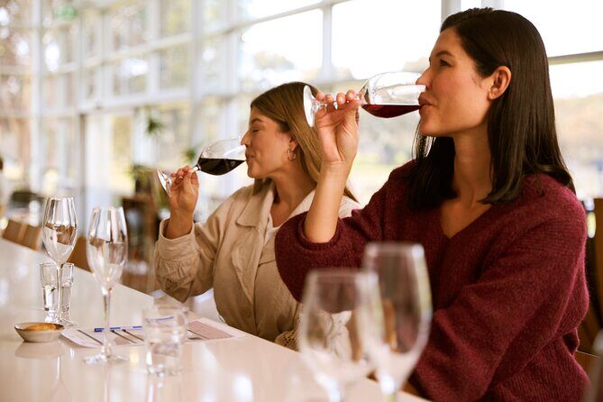 Vineyard Trail Ride and Taste at Jacobs Creek - The Scenic Trails and the Unique Appeal  