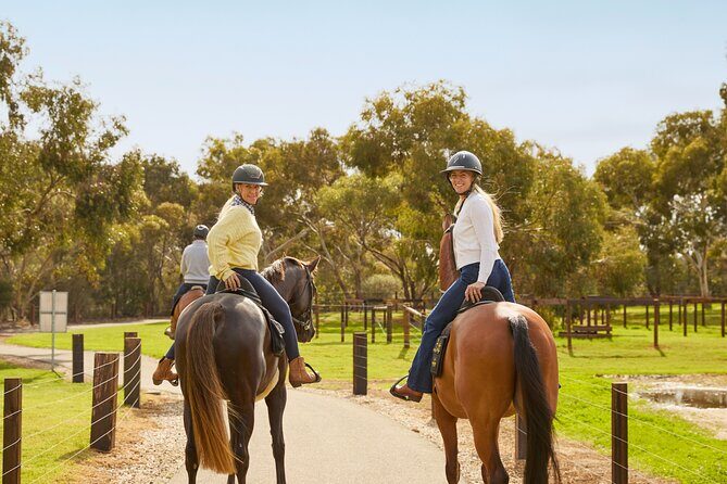 Vineyard Trail Ride and Taste at Jacobs Creek - Booking and Practicalities  