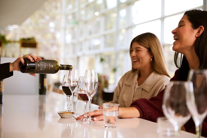 Vineyard Trail Ride and Taste at Jacobs Creek - Authentic Feedback from Guests  