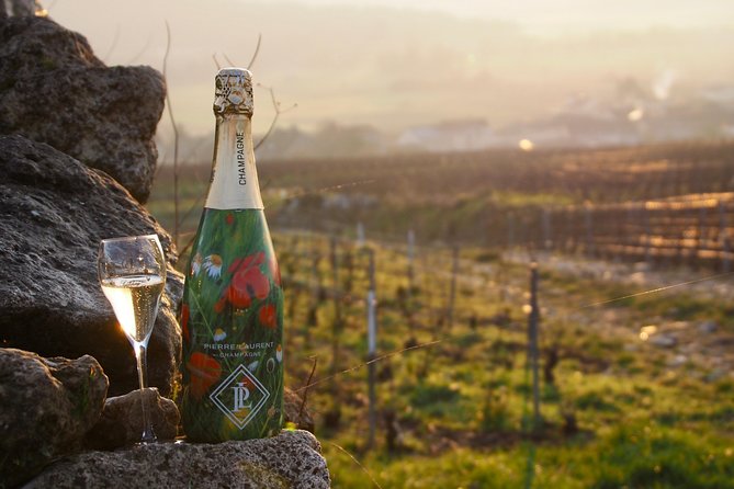 Vineyard Visit & Tasting 2 Champagnes & Transport - Champagnes Tasting Details