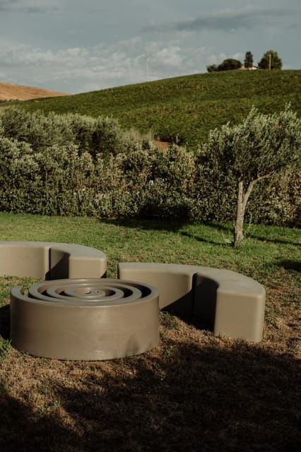 Vineyard Walk and Tasting - Booking Information