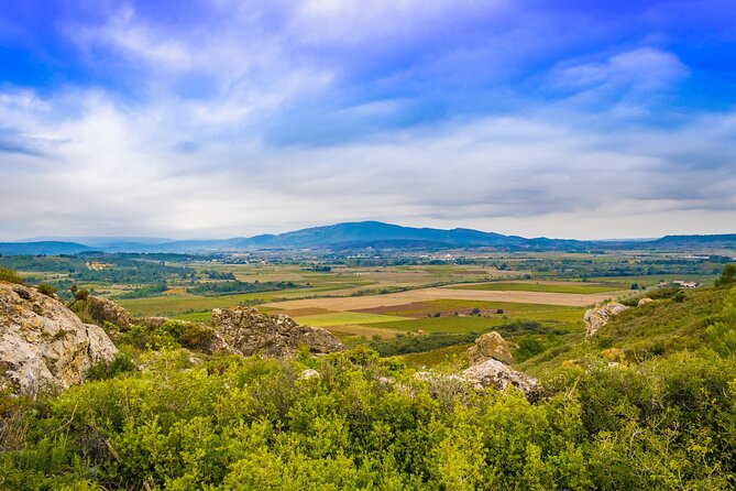 Vineyard Walk in the Garrigue - Additional Info