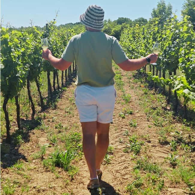 Vineyards & Castles : Czech Wine and Culture Tour - An Overview of the Czech Wine & Castle Tour