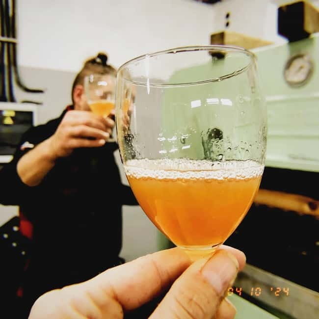 Vineyards & Castles : Czech Wine and Culture Tour - Value & Practical Insights