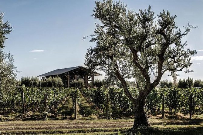 Vineyards With Wine Tasting in Mendoza - Tour Details