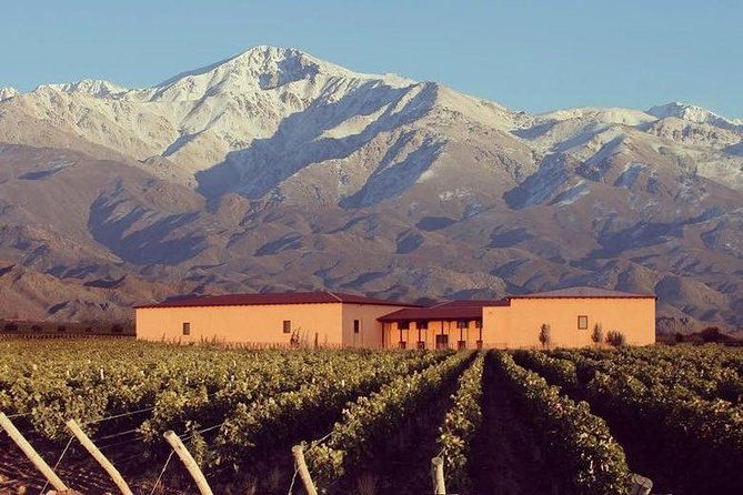 Vineyards With Wine Tasting in Mendoza - Wine Tasting Menu