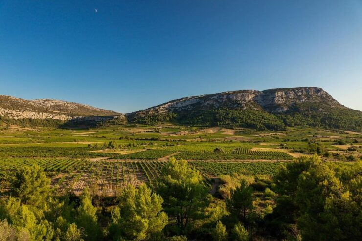 Vingrau: Wine Tasting - Good To Know