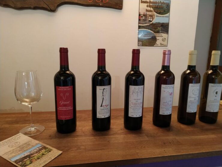 Vingrau: Wine Tasting - Wine Tasting Experience