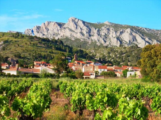 Vingrau: Wine Tasting - Inclusions