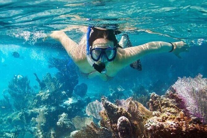 Vinh Hy Bay Snorkeling, Hidden Waterfall Discovery from Mui Ne - Good To Know