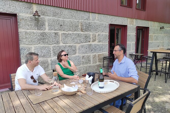 Vinho Verde 2 Wineries Guimarães - From Porto - Tour Highlights