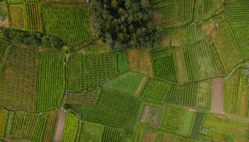 Vinho Verde: Private Wine Tasting w/ Tapas & Fortress Visit - Exploring the Wineries: The Heart of the Tour