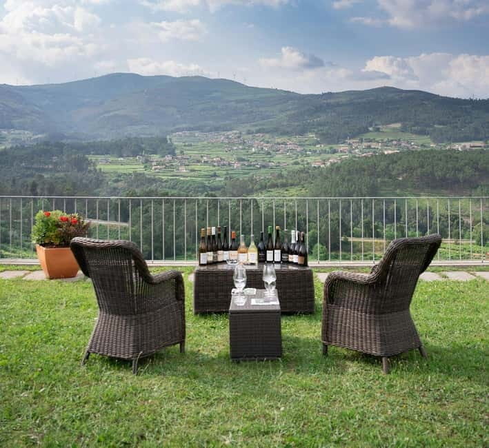 Vinho Verde: Private Wine Tasting w/ Tapas & Fortress Visit - Practical Tips and What to Expect