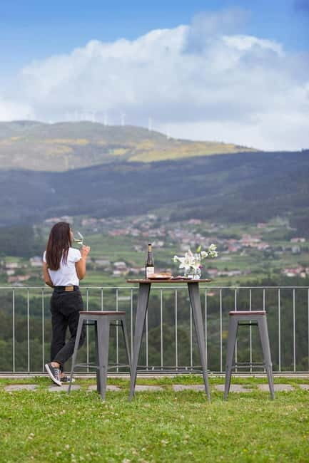 Vinho Verde: Private Wine Tasting w/ Tapas & Fortress Visit - The Experience: What Travelers Say