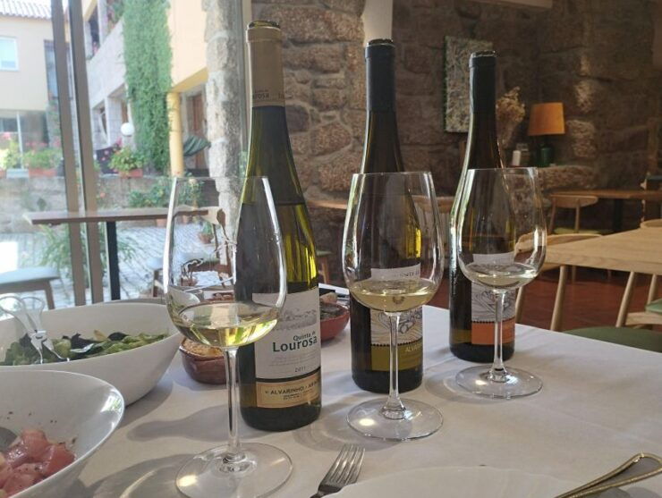 Vinho Verde Private Wine Tour - Tour Details