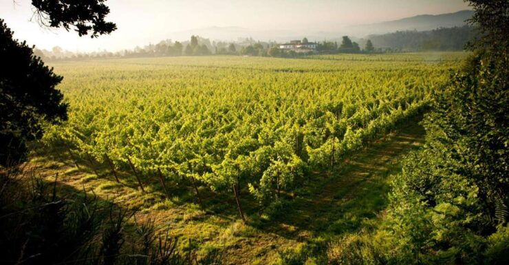 Vinho Verde Route - Private Wine Experience - Booking Details