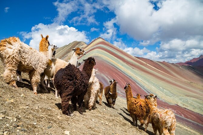 Vinicunca Rainbow Mountain Trekking Tour From Cusco - Directions to Vinicunca Rainbow Mountain