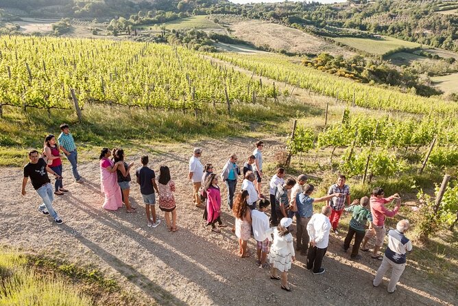 Vino Nobile Di Montepulciano Wine Tour - Meet the Producers - Boutique Wineries on the Tour