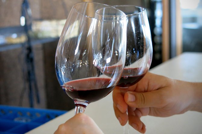 Vino Venture: Explore With a Local - Troodos Mountains Thru Wine! - Booking and Logistics