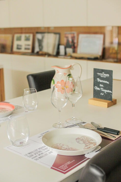 Vinocycle - Key Points