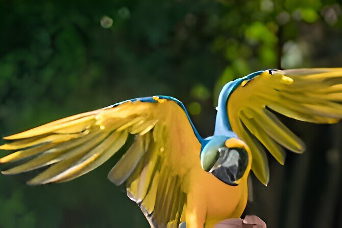 Vinpearl Phu Quoc vietnam World of Relaxation Fun and Discovery - An In-Depth Look at the Experience