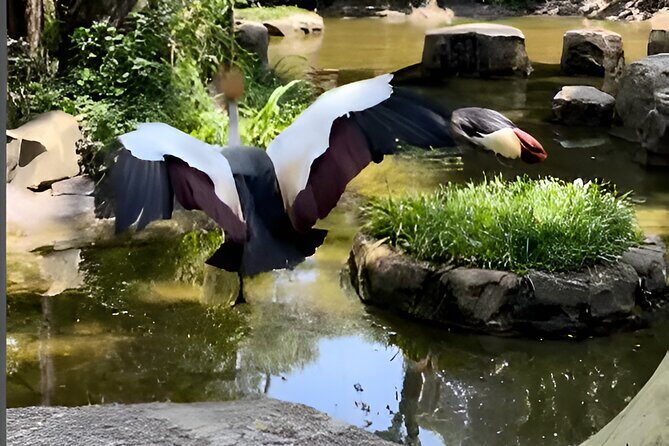 Vinpearl Phu Quoc vietnam World of Relaxation Fun and Discovery - FAQ