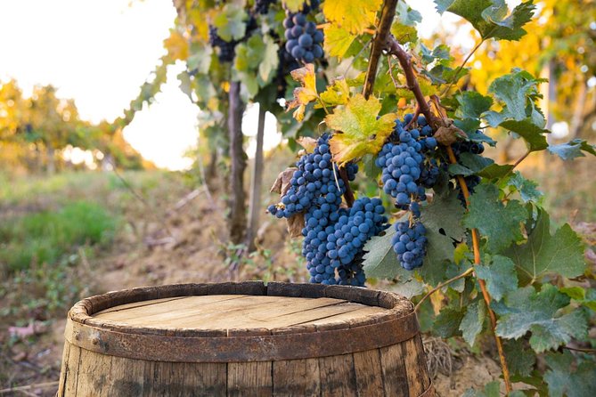 Vintage Fiat 500 Tour From Siena: Tuscan Hills and Winery Lunch - Background Information