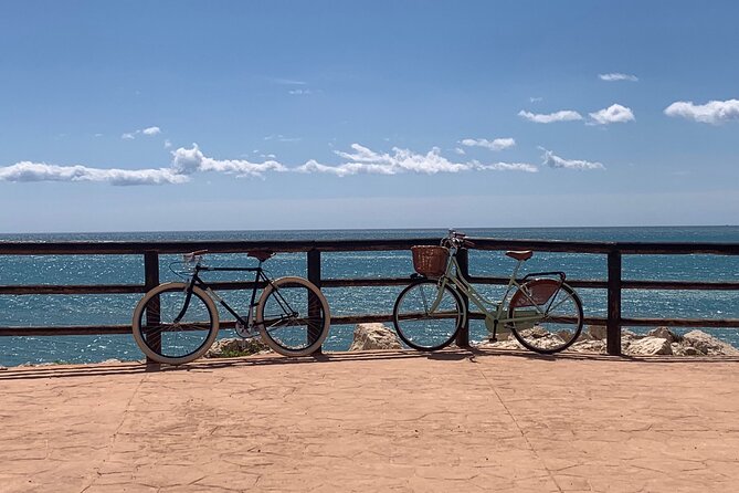 Vintage Style Bike Rental in Malaga - Traveler Photos and Reviews