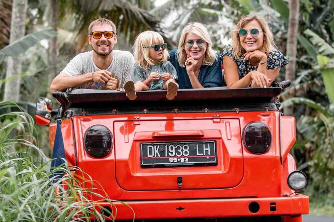 Vintage Volkswagen Customized Tour - Tour Pricing and Booking Details