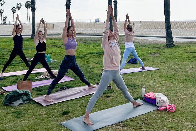 Vinyasa Yoga Class on the Beach in Santa Monica in French - Why We Think This Is a Great Value