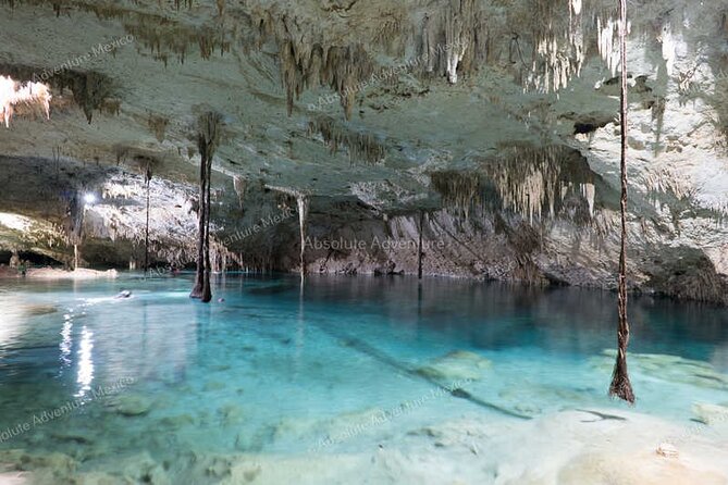 VIP 2 Cenotes Tour Adventure With Private Guide - Reviews and Overall Rating