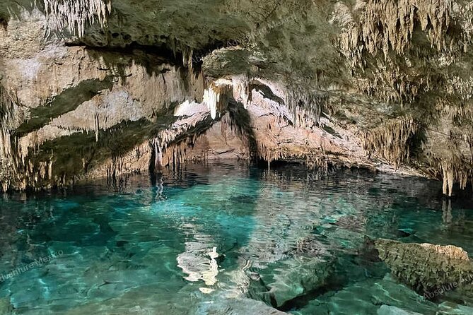 VIP 2 Cenotes Tour Adventure With Private Guide - Questions and Support for Assistance