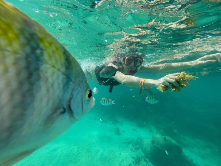 VIP 3 Cenotes Private Tour - Itinerary