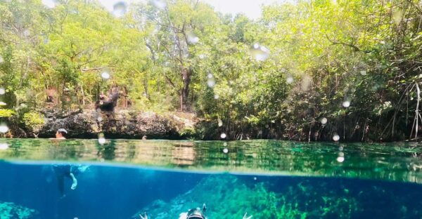 VIP 3 Cenotes Private Tour - Cenote Visits