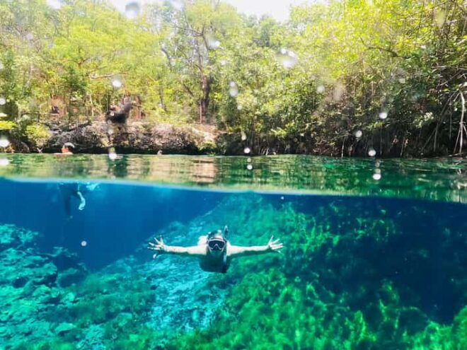 VIP 3 Cenotes Private Tour - Experience Highlights