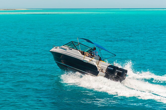 VIP 4-hour Speedboat Thrill: Dolphin Swim, Snorkel & Island! - Good To Know