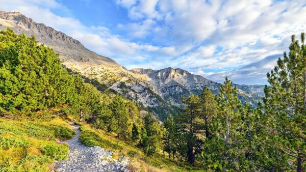 VIP 5-Day Tour From Athens: OLYMPUS – THE MOUNTAIN OF GODS! - Inclusions and Services Provided