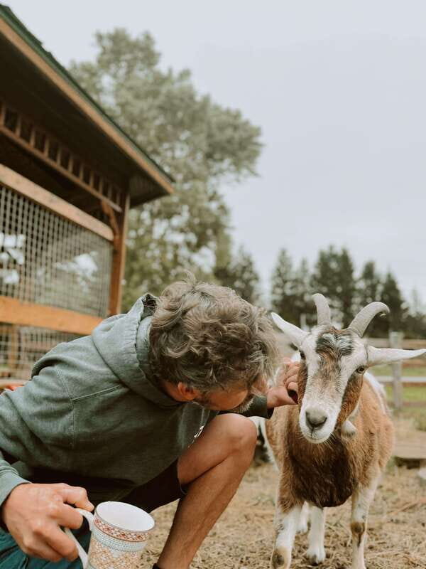 VIP Agritourism Tour of Île d'Orléans & Montmorency Fall - Who Will Love This Tour?