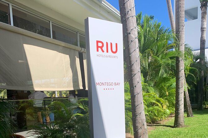 VIP Airport Transfer in Montego Bay - The Experience: What You Can Expect