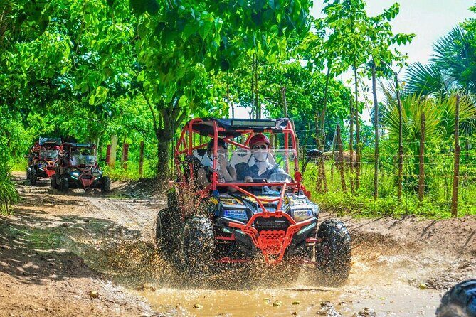 VIP Buggy Adventure Offroad to Macau Beach - Who Is This Tour Best For?