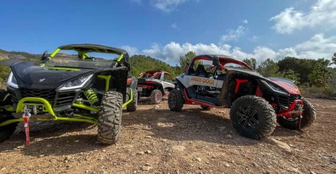 VIP Buggy Tour Off Road - Experience Highlights