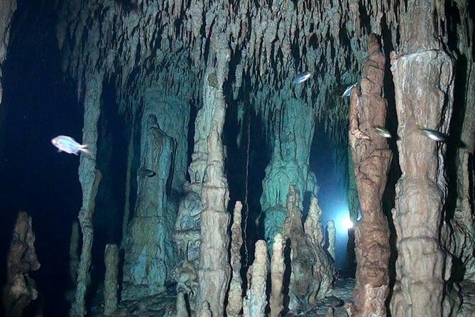 VIP Cenote Scuba Tour, Certified Divers Only - Reviews and Ratings