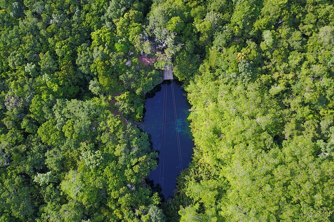 VIP Cenotes & Turtles Private Tour - Tour Details