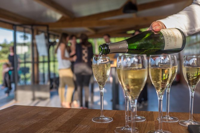 VIP Champagne Region Day Trip With 7 Tastings & Lunch From Paris - Itinerary Overview