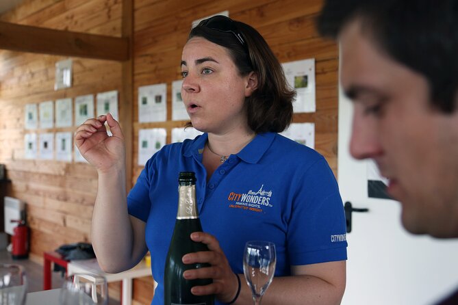VIP Champagne Region Day Trip With 7 Tastings & Lunch From Paris - Tasting Experiences